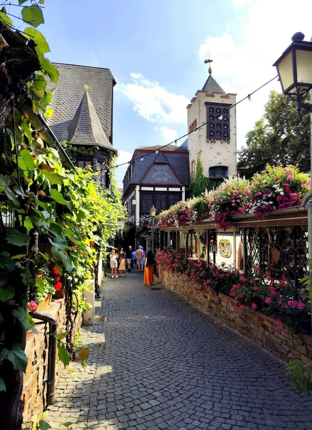 Hotel Ruedesheimer Hof Rüdesheim am Rhein Exterior foto