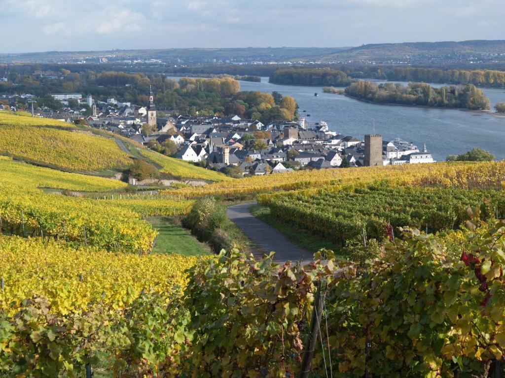 Hotel Ruedesheimer Hof Rüdesheim am Rhein Quarto foto